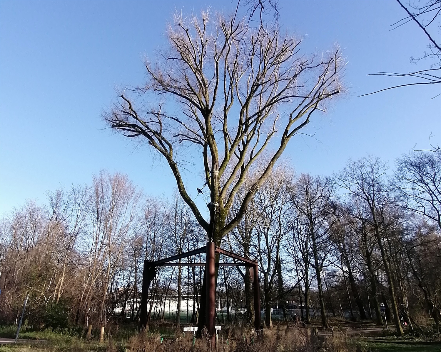 Foto gemeente Den Haag 