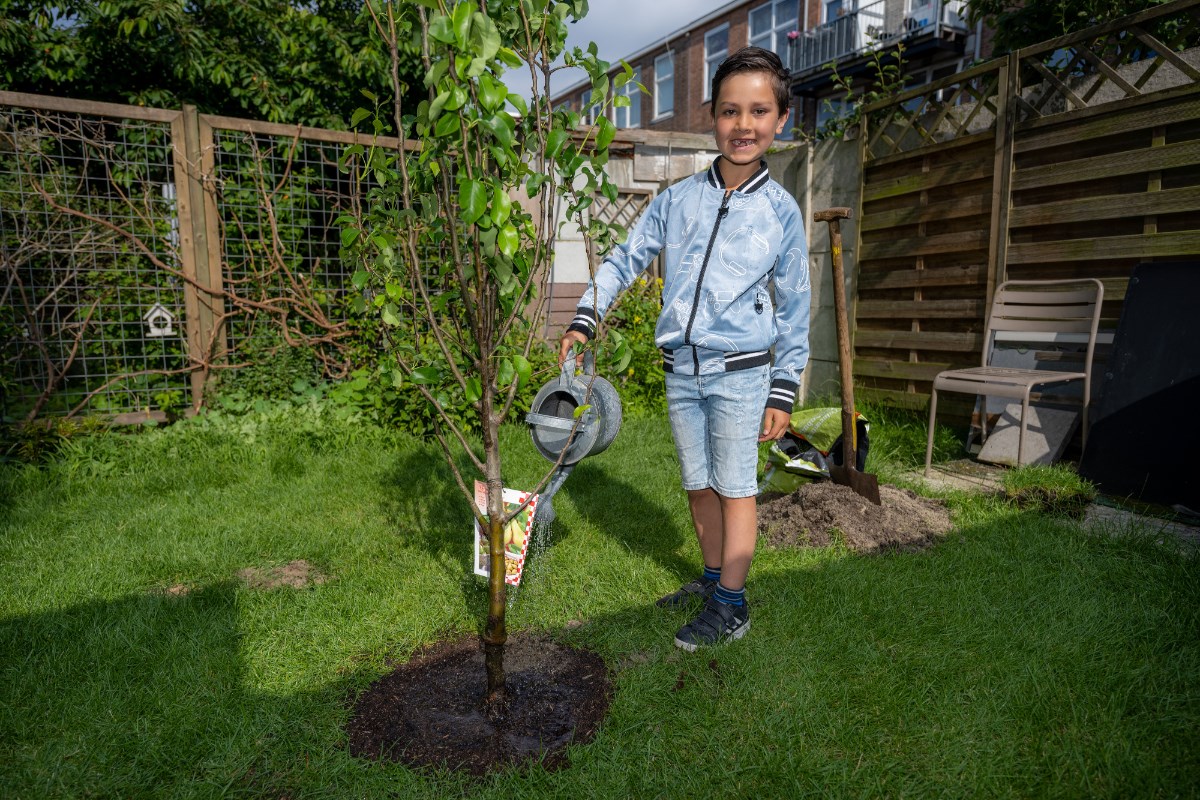 Den Haag deelt weer 1000 bomen uit