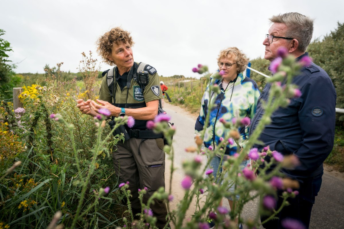 Haags Groen - Wandelen met de boswachter
