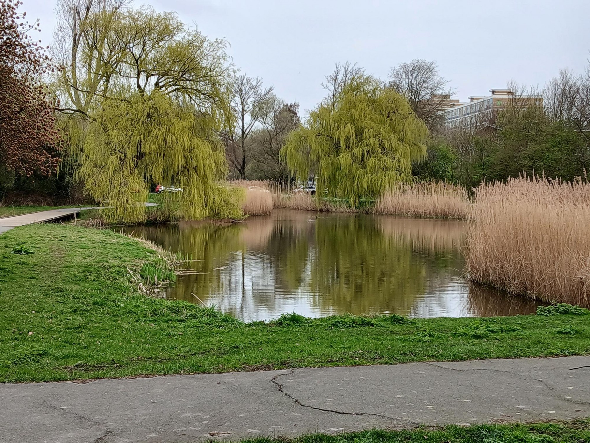 Meanderen om de Haagse Beek, wandeling  4 op dinsdag 2 juni 10.30 uur