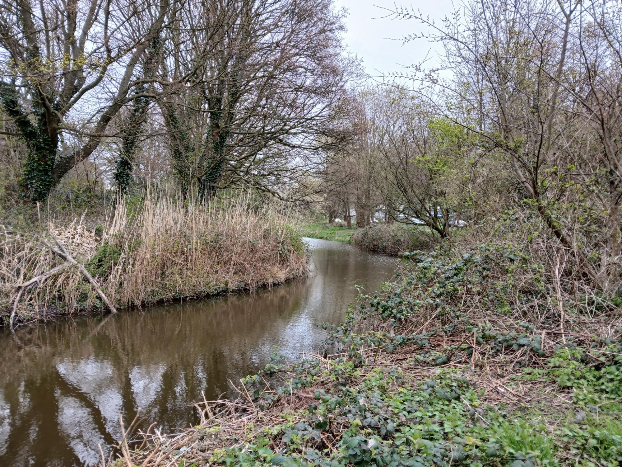 Meanderen om de Haagse Beek, wandeling 3 donderdag 7 mei 10.30 uur