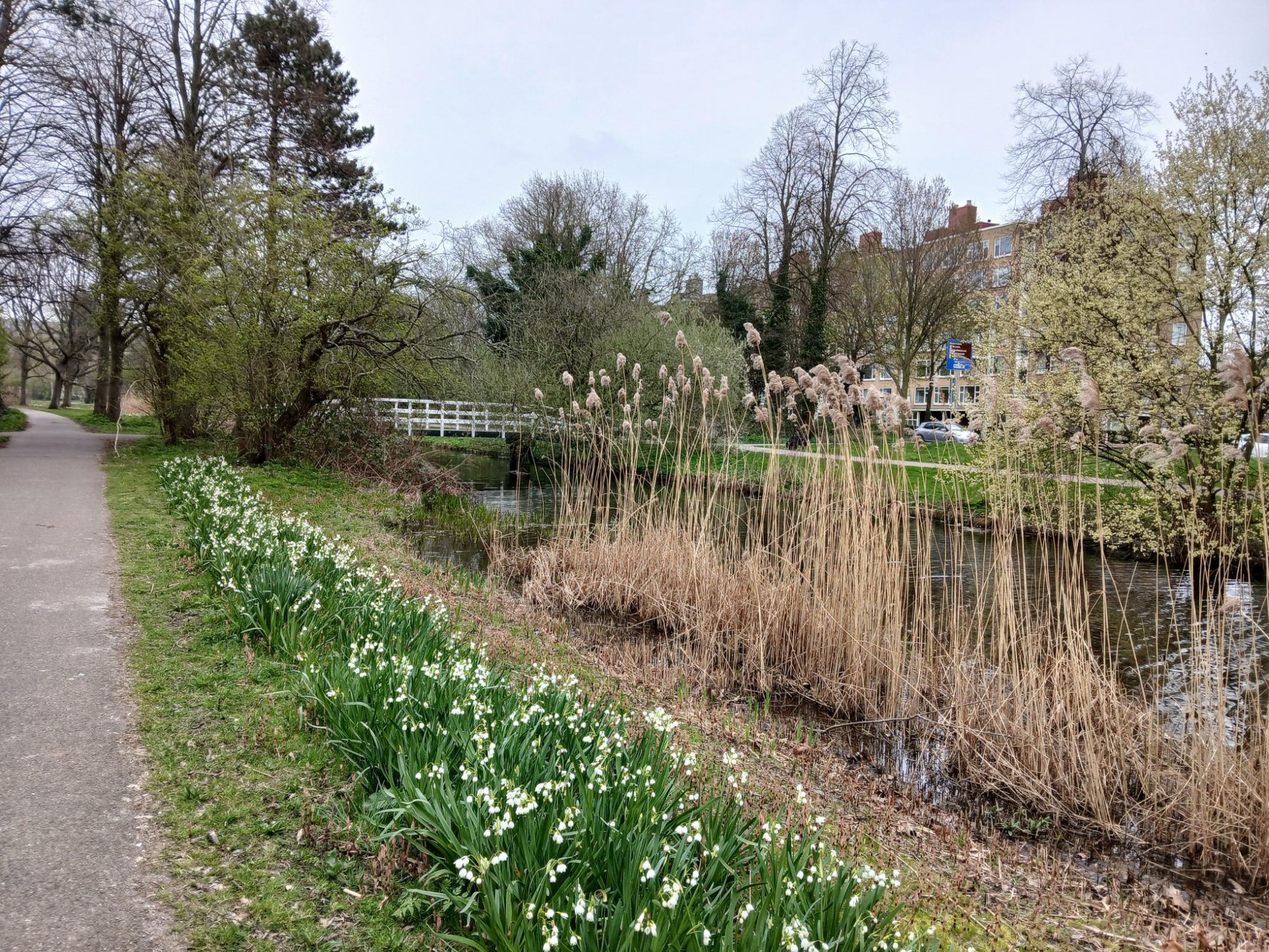 Meanderen om de Haagse Beek, wandeling 1 op 16 april donderdag 10.30 uur