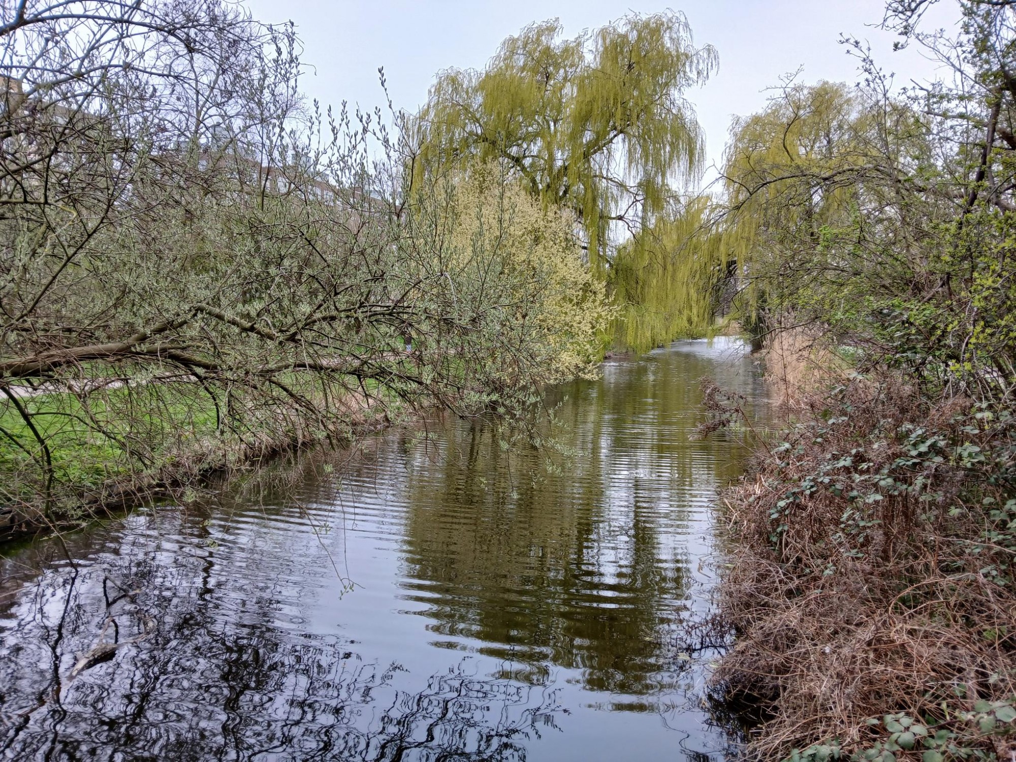 Meanderen om de Haagse Beek, wandeling 2 dinsdag 28 april 10.30 uur