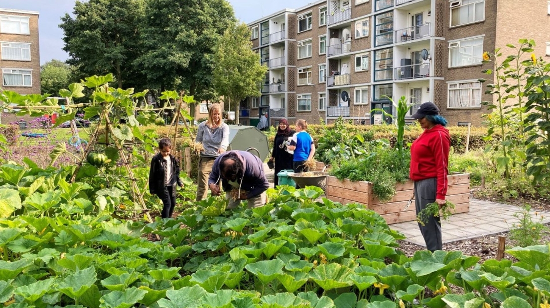 Melgelmoestuin; foto Gemeente Den Haag