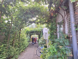 Impressie Post 65-wandeling door de Schilderswijk 20 augustus 2026
