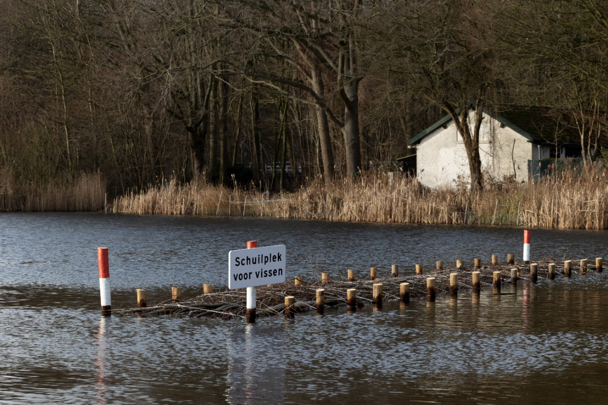 Foto Henriette Guest