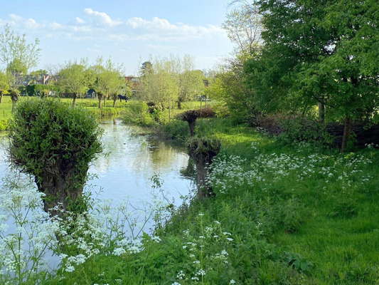 Onderteken de petitie - Verplaats geen afvalbedrijven naar de natuur