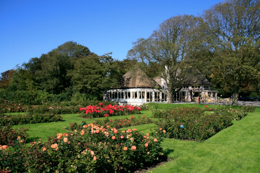 Rondleiding langs het groen in het Westbroekpark op 12 en 19 juni