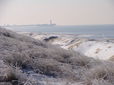 2103	Besneeuwde Scheveningse kust 		Jacob Bijl